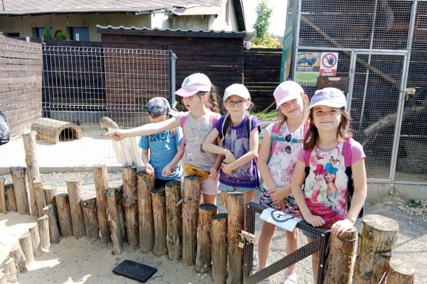 img-20230620-104128CDBF6540-8E39-0AAD-A6D2-363F2DFBD0E5.jpg