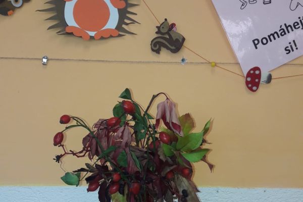 img-20231102-wa0000837E95D5-4806-8420-0FCD-D5056842AA6B.jpg
