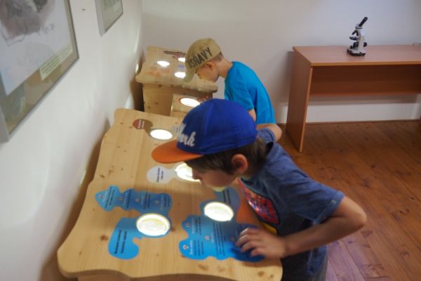 p6220114263F94B2-4181-E239-BADA-CD8E3B42FCAC.jpg