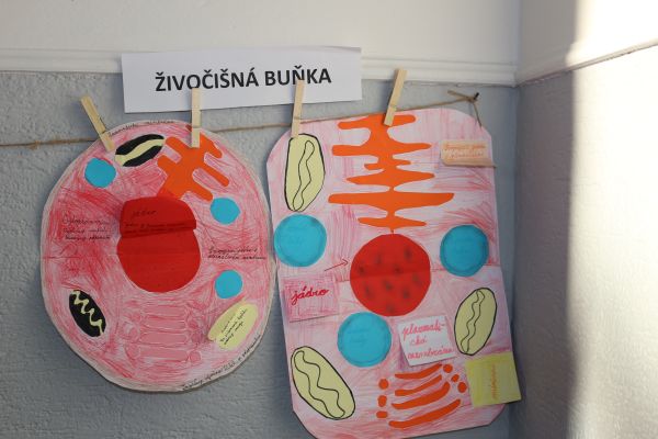 img-034470D25D1D-25F4-890A-E071-5DB5C53586BA.jpg
