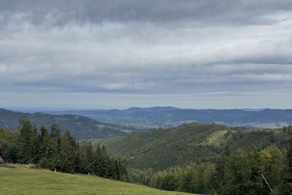 img-7152B3C8DAEA-AFC3-5610-0E1D-762FF9C8694C.jpeg